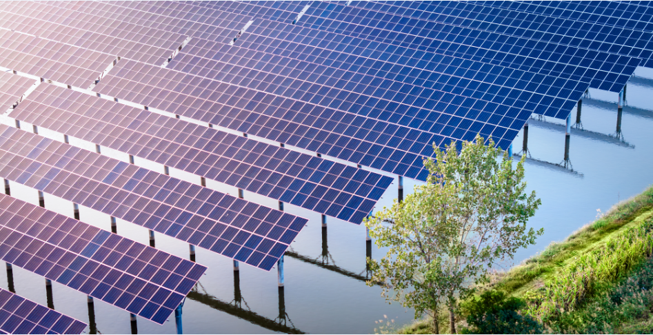 Stake(�й���)�ٷ���վ