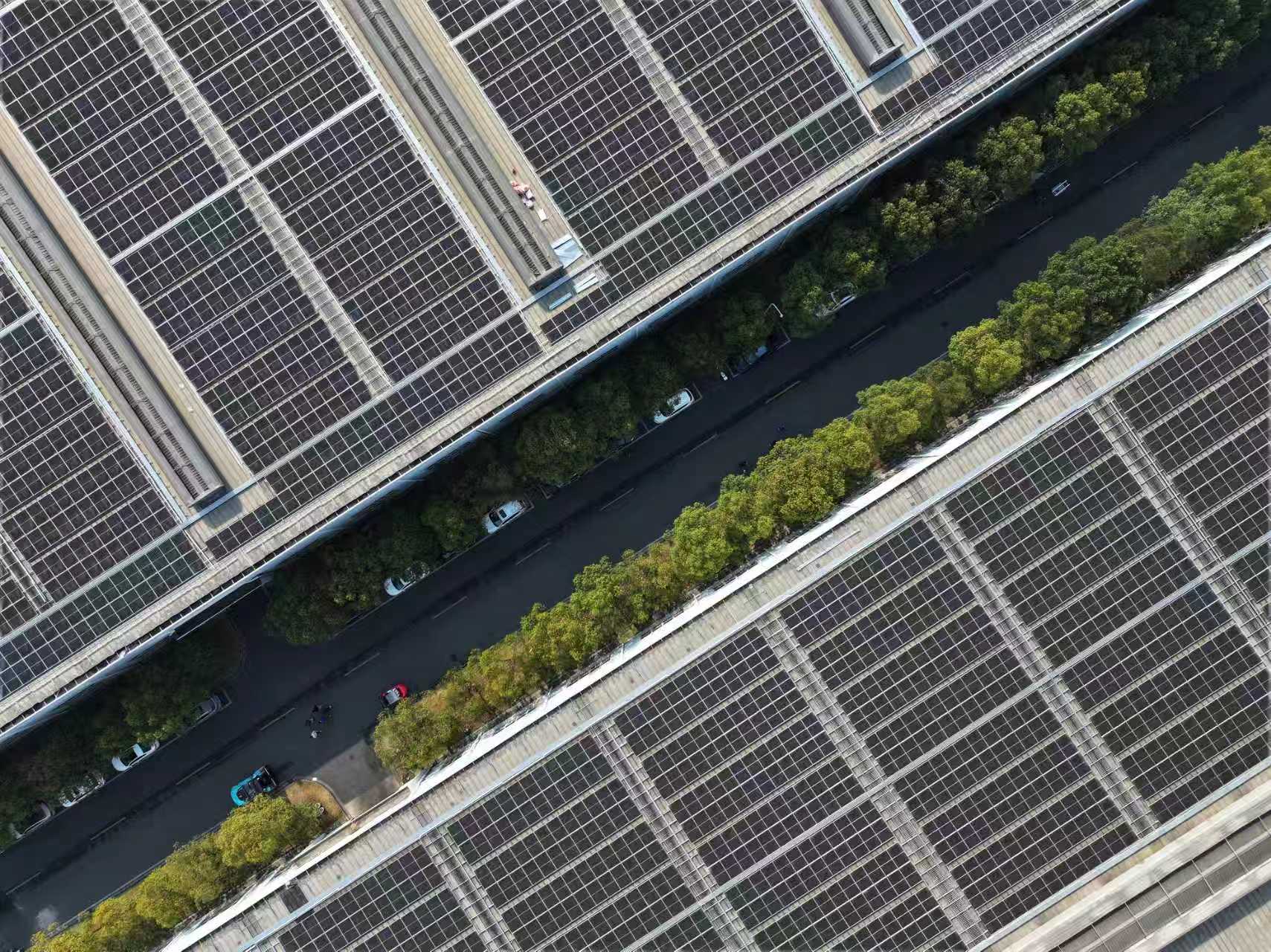 Stake(�й���)�ٷ���վ